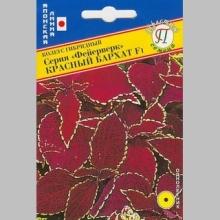 Колеус Фейерверк Красный бархат F1