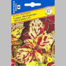 Колеус Фейерверк Мозаика F1