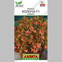 Колеус Колоча F1 скарлет