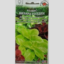 Колеус Визард Голден