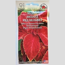 Колеус Визард Ред Вельвет