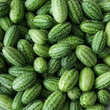 Мелотрия Колибри