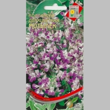 Коллинсия Мотылек