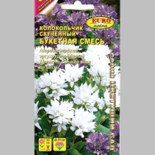 Колокольчик Букетная смесь (скученный)