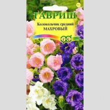 Колокольчик Махровый средний