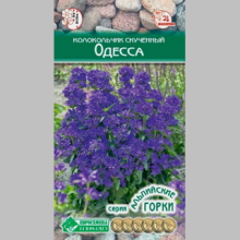 Колокольчик Одесса скученный