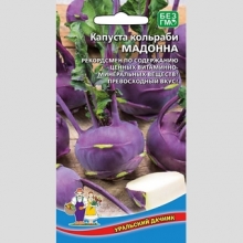 Капуста Мадонна (кольраби)