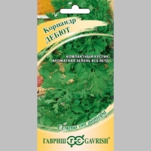 Кориандр Дебют