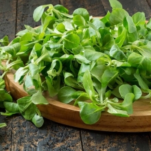 Салат-корн Зеленые монетки (зимний салат)