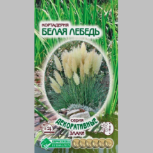 Кортадерия Белая лебедь