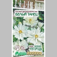 Космея Белый Танец дваждыперистая