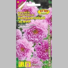 Космея Клубничный зефир