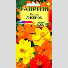 Космея Лисенок