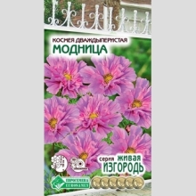 Космея Модница дваждыперистая