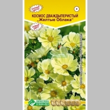 Космос Желтые Облака дваждыперистый