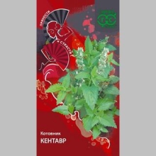 Котовник Кентавр