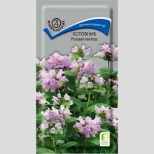 Котовник Розовая пантера