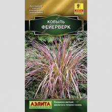 Ковыль Фейерверк