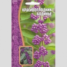 Красивоплодник Бодинье (большой пакет)