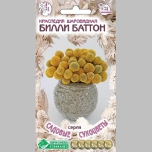 Краспедия Билли баттон шаровидная