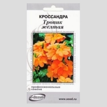 Кроссандра Тропик жёлтая