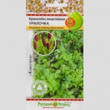 Кровохлёбка Уралочка лекарственная