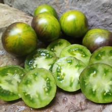Томат Криптонит