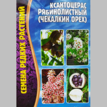 Ксантоцерас рябинолистный (Чекалкин орех) (большой пакет)