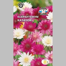 Ксерантемум Казачок смесь
