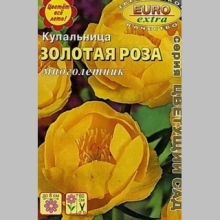 Купальница Золотая роза