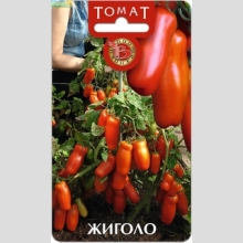 Томат Жиголо