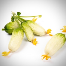 Огурец Квирк F1 (Rijk Zwaan)