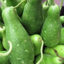 Лагенария Бутыль F1 (Бутылочная тыква)