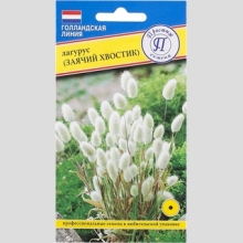 Лагурус Заячий хвостик