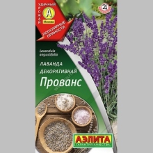 Лаванда Прованс декоративная