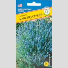 Лаванда Манстид Стрейн