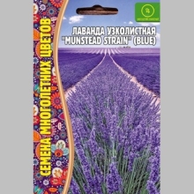 Лаванда Munstead Strain Blue узколистная (большой пакет)