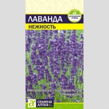 Лаванда Нежность