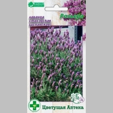 Лаванда Розьера стахэдская (испанская)