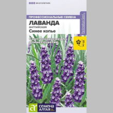 Лаванда Синее копье узколистная