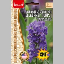 Лаванда Ellagance Purple узколистная компактная (большой пакет)