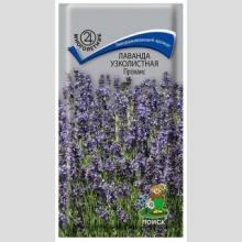 Лаванда Прованс (узколистная)