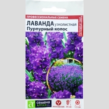 Лаванда Пурпурный колос узколистная