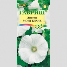 Лаватера Монт Бланк