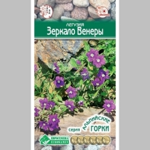 Легузия Зеркало Венеры