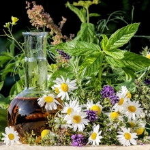 Лекарственный огород