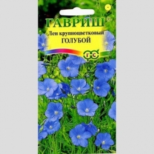 Лен Голубой крупноцветковый