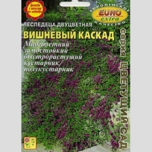 Леспедеца Вишнёвый каскад (двуцветная)