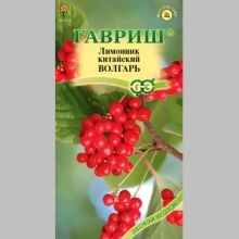 Лимонник Волгарь китайский