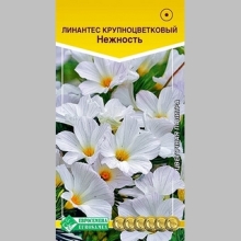 Линантес Нежность крупноцветковый